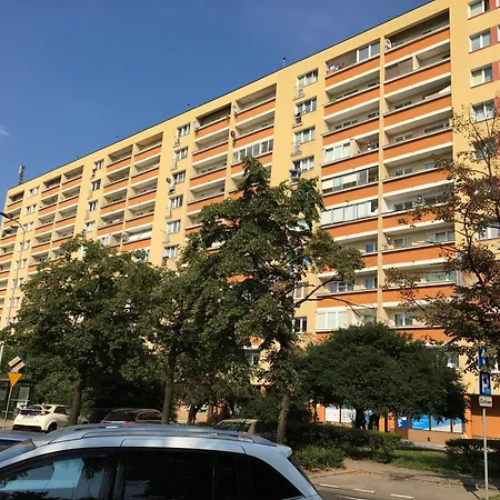 Good Morning Daire *